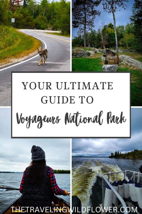 Explore Voyageurs National Park- the least traveled National Park in the USA! Voyageurs National Park, Midwest Road Trip, National Parks America, Apostle Islands, National Park Camping, Lake Trip, National Parks Usa, National Parks Trip, Yellowstone National Park