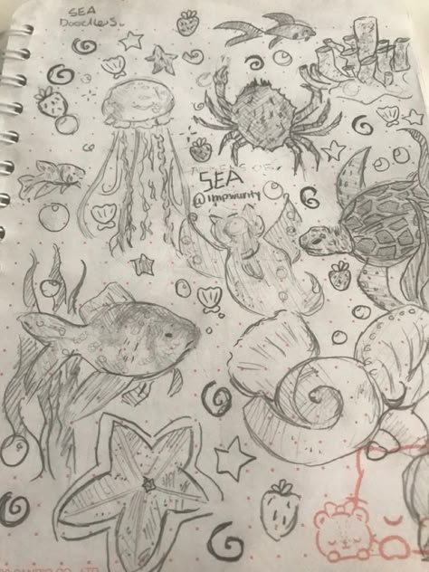 DO NOT REPOST I TOOK FOREVER TO DRAW THIS Sea Theme Drawing, Aquarium Design Drawing, Marine Biology Drawings Easy, Marine Biology Drawings, Ocean Animal Drawings, Marine Doodles, Ocean Sketches, Marine Drawing, Marine Life Drawing