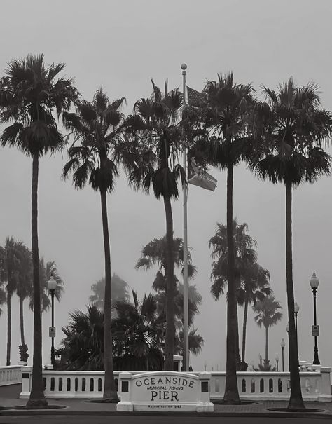 Oceanside Pier during tropical storm Hilary Pier Photography, Oceanside Pier, Tropical Storm, Pier Fishing, Photography