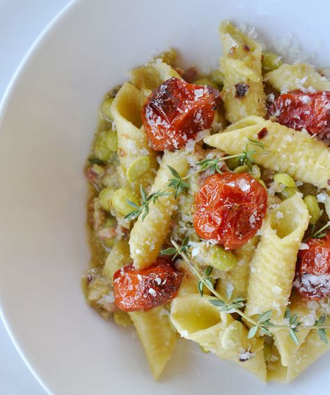 Garganelli Pasta, Rustic Plate, Pancetta Pasta, Savory Recipe, Rustic Plates, Roasted Cherry, Roasted Cherry Tomatoes, Fava Beans, Fennel Seeds