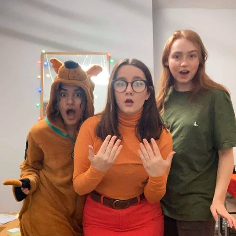 Scooby Doo Velma Shaggy Halloween Castumes Group Friends Shaggy Costume, Scooby Doo Velma, Velma Shaggy, Scooby Doo Halloween Costumes, Scooby Doo Halloween, Costume Ideas, Bingo, Scooby Doo, Halloween Costume