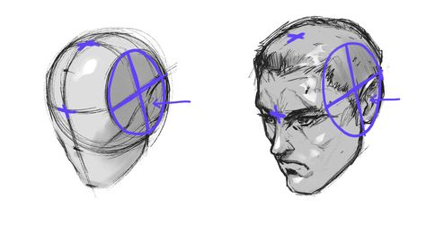 The Loomis Method of Drawing the Head, a Step-by-Step Guide – GVAAT'S WORKSHOP Simple Anatomy, The Loomis Method, Draw Heads, Planes Of The Face, Loomis Method, Best Eyes, Face Proportions, Andrew Loomis, Drawing Pencil Sketches