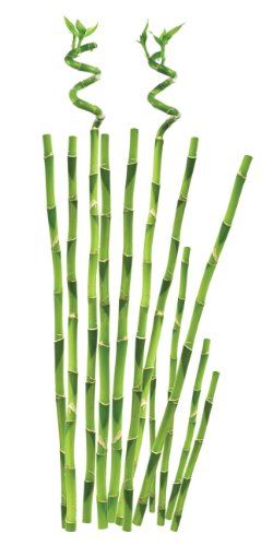 RoomMates RMK1166GM Bamboo Peel and Stick Wall Decals > Unbelievable offers are coming! : Christmas Home Decor Nature Bedroom Ideas, Wall Stickers Tree, Peel And Stick Wall Decor, Stick Wall Decor, Bamboo Decoration, Bamboo Wallpaper, Peel And Stick Wall Decals, Wall Appliques, Natural Bedroom