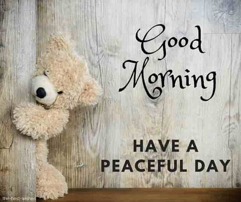 good-morning-with-teddy-have-a-peaceful-day Cutest Desserts, Good Morning Teddy Bear, Have A Peaceful Day, Teddy Bear Quotes, Peaceful Day, Teddy Bear Images, Morning Memes, Quotes Arabic, Cute Good Morning Images