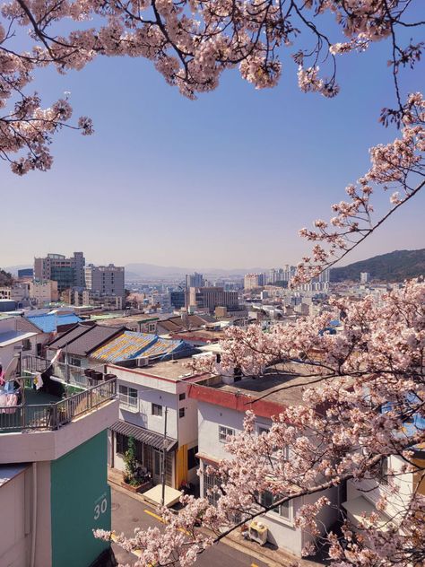 Spring Korea, Wallpapers Cute, South Korea Seoul, Spring City, Korea Seoul, Street House, Spring Wallpaper, Spring Aesthetic, Cute Spring