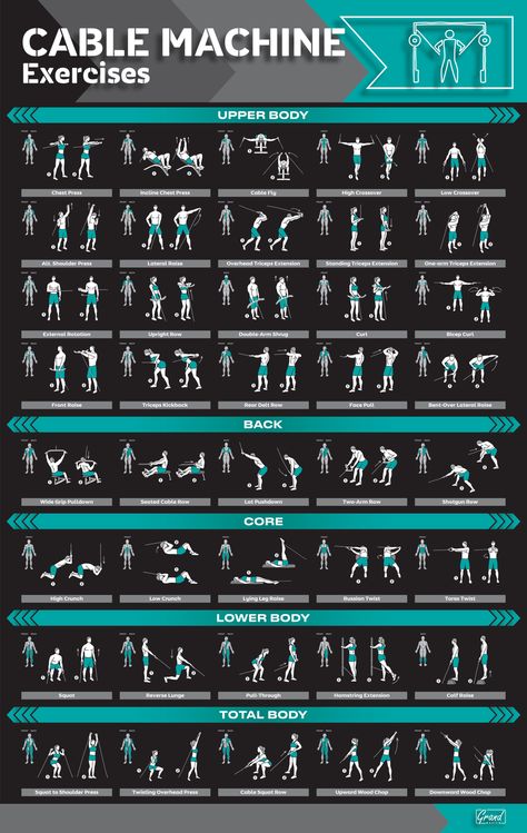 Bowflex Workout Routine, Cable Machine Exercises, Workout Tattoos, Machine Exercises, Cable Machine Workout, Bowflex Workout, Gym Workouts Machines, Exercise Poster, Gym Posters