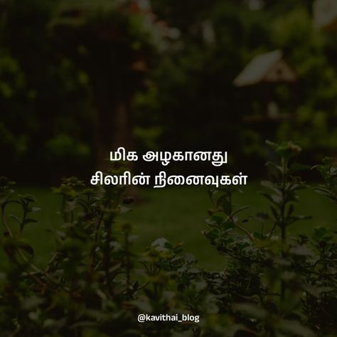 மிக அழகானது சிலரின் நினைவுகள் @kavithai_blog ✨ Tamil Poems, Tamil Kavithai, Long Distance Love Quotes, Distance Love Quotes, Distance Love, Long Distance Love, Cute Images With Quotes, Mehandi Design, Mehandi Designs