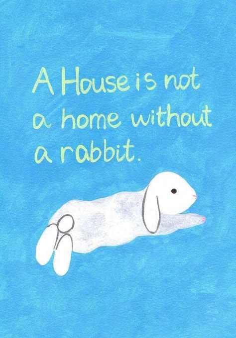 Bunny Acrylic Painting, Crazy Bunny Lady, Pet Rabbit Care, Bunny Quotes, Bunny Lady, Bunny Room, Pet Bunny Rabbits, Bunny Stuff, Indoor Rabbit