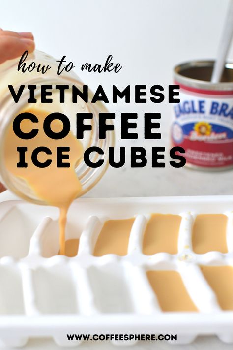 Ice Cubes For Coffee, Milk Ice Cubes, Coffee Creamer Ice Cubes, Ice Cube Coffee, Creamer Ice Cubes, Iced Coffee Ice Cubes, Iced Coffee Cubes, Coffee Ice Cubes Recipe, Easy Coffee Drinks Recipes