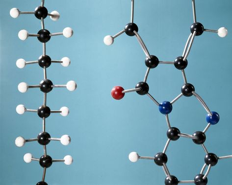 Monomers are the building blocks of more complex molecules, called polymers. The process of covalently bonding the smaller monomers is polymerization. Atom Model Project, Polymer Chemistry, Polymer Science, Atom Model, Chemistry Projects, Chemistry Classroom, Science Chemistry, Organic Chemistry, Art Deco Pattern