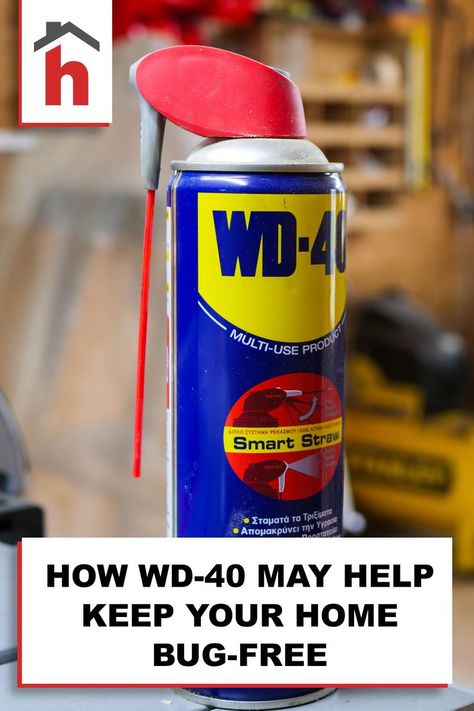 WD-40 is an easy-to-apply solution that may create a highly effective barrier to keep those bugs out of your home. #bugs #homeimprovement How To Keep Spiders Out Of Windows, Wd40 For Bugs, Keep Bugs Out Of House, How To Keep Bugs Out Of Garage, How To Keep Bugs Out Of House, Get Rid Of Bugs In House, Box Elder Bugs, Wd 40 Uses, Bug Infestation