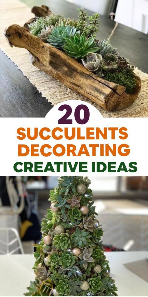 Explore the beauty of succulents by effortlessly incorporating these resilient plants into your home decor. Transform your living space with a touch of greenery and elegance through striking succulent terrariums, cascading wall gardens, and stylish pot displays. Let the simplicity and charm of succulents inspire you to create a serene ambiance that celebrates their unique beauty. Embrace indoor gardening with these creative ideas to bring a modern, fresh vibe to any room. Suculents Ideas Decoration Pots & Planters, Creative Succulent Ideas, Succulent Arrangements Ideas, Fall Succulent Arrangements, Succulent Pot Ideas Diy, Succulent Display Ideas, Terrarium Ideas Unique, Succulent Terrarium Ideas, Indoor Succulent Garden Ideas