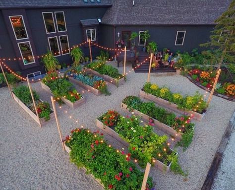 Plantarea Legumelor, Vegetable Garden Beds, Vegetable Garden Ideas, Healthy Vegetable, Backyard Vegetable Gardens, Nutritious Food, Vegetable Gardens, Garden Types, Veg Garden