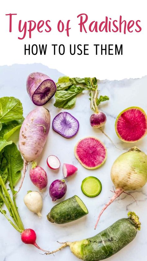 Here are all the types of radishes and how to use them in your cooking! Daikon Recipe, French Breakfast Radish, Radish Greens, Canapes Recipes, Radish Recipes, French Breakfast, Radish Salad, Easy Food Art, Appetizer Bites