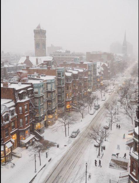 Christmas In New York Aesthetic, Massachusetts Aesthetic, Boston Aesthetic, Boston Winter, Newbury Street Boston, England Winter, England Aesthetic, Newbury Street, Winter Aesthetic