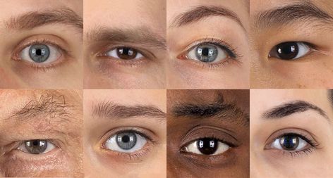 Eyelid Types, Images Of Eyes, Coloured Eyes, Different Types Of Eyes, Eye Anatomy, Eye Images, Eyes Color, Different Races, Types Of Eyes