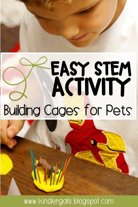 Pet Store Dramatic Play, Play For Kindergarten, Stem Activities Elementary Kindergarten, Preschool Pet Activities, Store Dramatic Play, Stem Activities Kindergarten, Farm Animals Preschool, Stem Activities Preschool, Kindergarten Stem