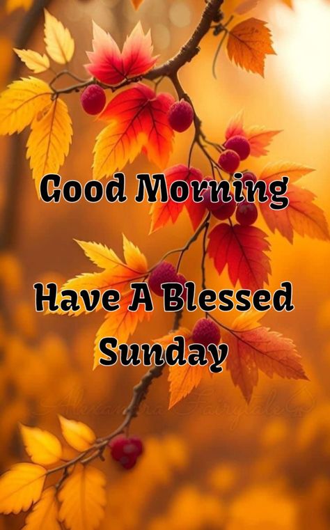 Good Morning First Day Of Fall, Fall Sunday Blessings, Fall Sunday Morning Quotes, Happy Sunday Autumn, Happy Sunday Messages, Sunday Morning Images, Sunday Fall, Blessed Sunday Morning, Happy Sunday Images