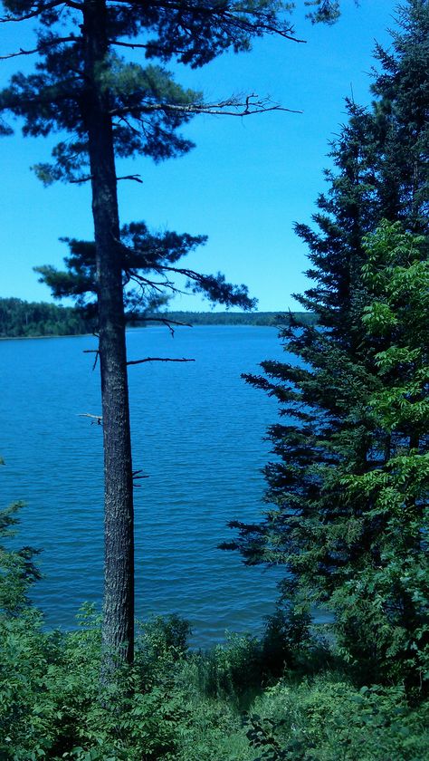 Lake Itasca - Itasca State Park - Minnesota - The Headwaters of the Mississippi River Minnesota Summer, Itasca State Park, Lake Vibes, Summer Moon, Summer Lake, California Coast, Mississippi River, State Park, Mississippi