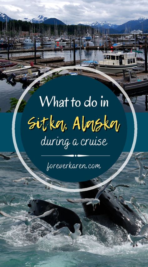 Things To Do In Sitka Alaska, Sitka Alaska Cruise Port, Sitka Alaska Things To Do, Holland America Alaska Cruise, Alaska Excursions, Tauck Tours, Alaska Cruise Excursions, Alaska Travel Cruise, Alaska Cruise Ports