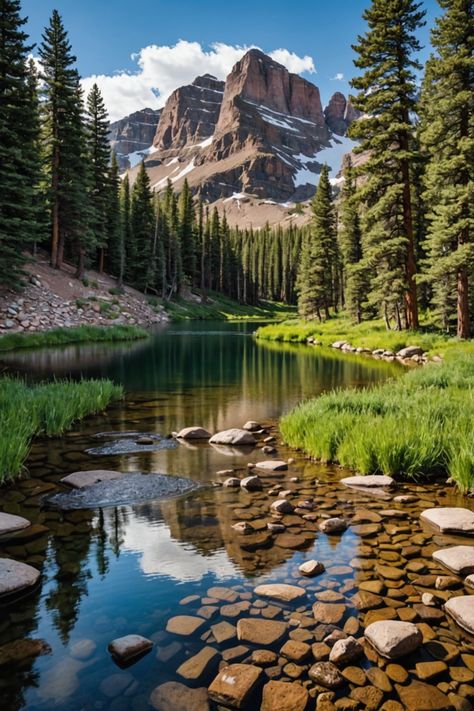 Unveiling Colorado&#8217;s Outdoor Adventure Oasis 🏞️ Things To Do In Colorado, Colorado Adventures, Estes Park Colorado, Nature And Wildlife, The Rockies, The Rocky Mountains, Estes Park, Vacation Places, Unforgettable Memories