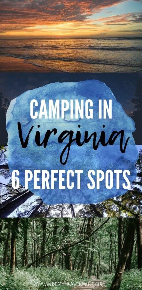 State Park Camping, Camping Must Haves, Best Campgrounds, Backcountry Camping, Virginia Travel, Usa Travel Guide, Us Travel Destinations, Camping Spots, Camping Tips