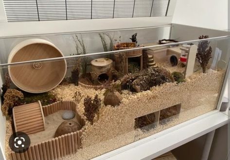 Hamster Cage Design, 75 Gallon Hamster Tank, Good Hamster Cage, Hamster Home Ideas, Proper Hamster Cage, Tank Hamster Cage, Crochet Hamster House, Syrian Hamster Cage Ideas, Hamster Cage Inspiration