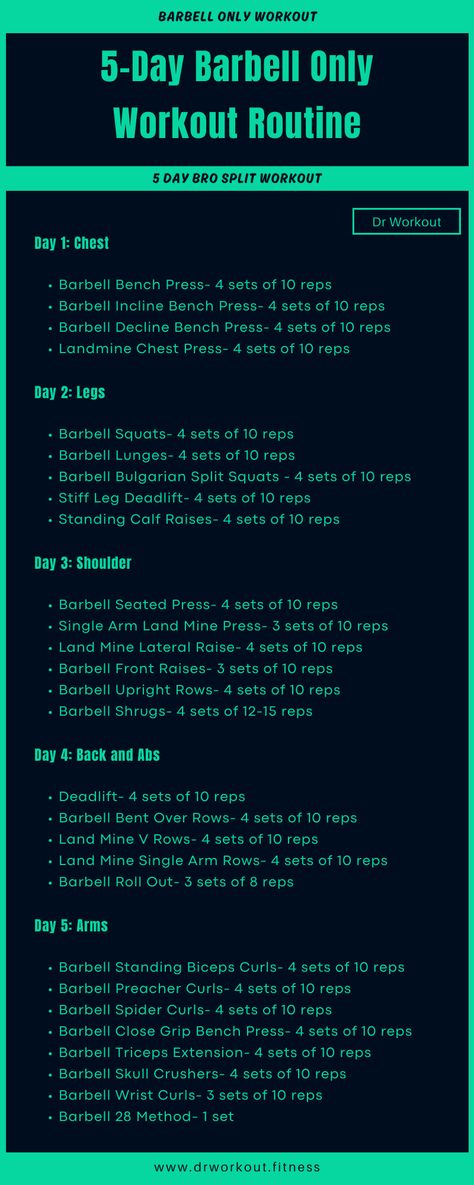 5-Day Barbell Workout Routine Dumbbell And Barbell Workout Plan, Bro Split, Barbell Workout Routine, Barbell Workout For Women, Workout Charts, Barbell Workouts, Split Workout Routine, Split Workout, 5 Day Workouts