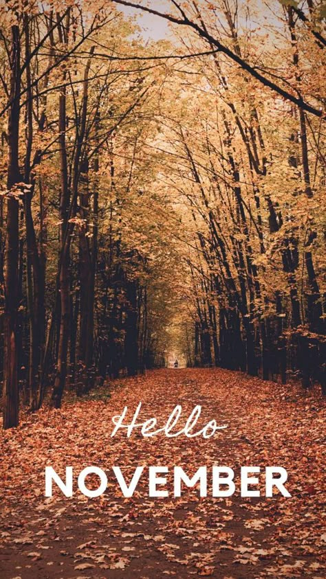 Hello November wallpaper to start of the month of November just right. September Wallpaper, November Wallpaper, Wallpaper Winter, Hello November, Thanksgiving Wallpaper, Cute Fall Wallpaper, Iphone Wallpaper Fall, Fall Background, Calendar Wallpaper