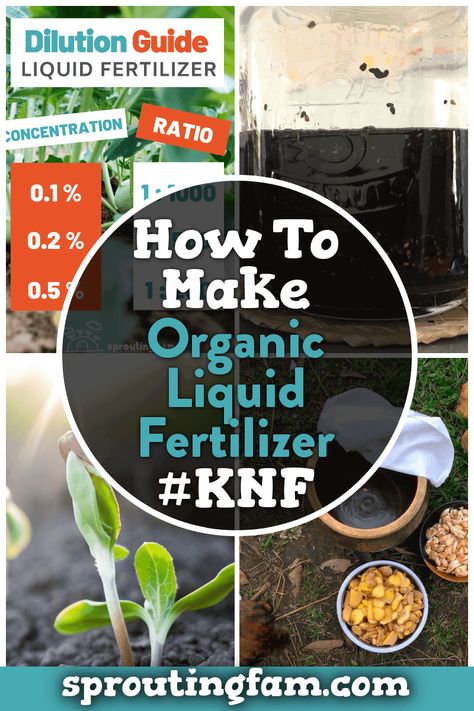 Organic Plant Fertilizer, Homesteading Inspiration, Natural Plant Fertilizer, Organic Liquid Fertilizer, Diy Fertilizer, How To Make Compost, Natural Farming, Garden Remedies, Lawn Fertilizer