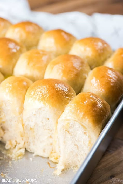 Foolproof Dinner Recipes, Dinner Rolls Recipe Easy, Yeast Dinner Rolls Recipe, Quick Yeast Rolls, Best Yeast Rolls, Rolls Dinner, Yeast Roll, Dinner Roll Recipe, Easy Yeast Rolls