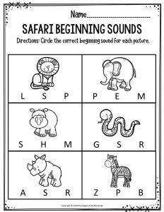 Preschool Worksheets Safari Beginning Sounds Rainforest Worksheets Preschool, Safari Animals Preschool, Zoo Animals Preschool Activities, Zoo Activities Preschool, Zoo Animals Preschool, Rainforest Crafts, Preschool Zoo Theme, Language Activities Preschool, Preschool Jungle