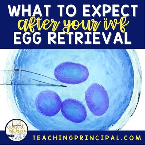 So you just underwent egg retrieval… now what? In-vitro fertilization (IVF) can be an intimidating process, but it is definitely manageable with the correct information and preparation. I underwent IVF... The post What To Expect After IVF Egg Retrieval appeared first on Crystal Mencia. Egg Retrieval Day Quotes, Egg Retrieval Recovery, Egg Retrieval Ivf, Egg Retrieval Day, Ivf Egg Retrieval, Egg Retrieval, Egg Quality, Assisted Reproductive Technology, Light Exercise