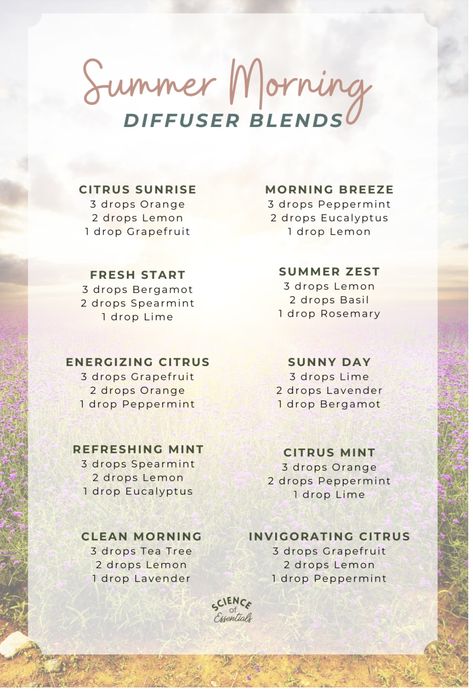 Diy Perfumes, Best Smelling Essential Oils, Essential Oil Spray Recipes, Summer Diffuser Blends, Summer Essential Oils, Essential Oil Roller Bottle Recipes, Fitness Books, Cooking With Essential Oils, Essential Oil Reed Diffuser