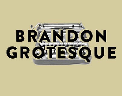 Check out this @Behance project: “Brandon Grotesque” https://www.behance.net/gallery/25573535/Brandon-Grotesque Brandon Grotesque, Character Traits, Behance Project, The North Face Logo, Retail Logos, Meant To Be, Branding, Illustrations, Feelings