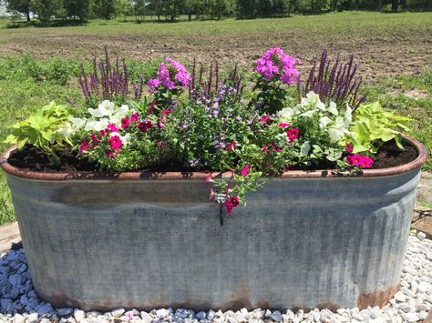 Horse trough Farm Planter Ideas, Cattle Trough Garden, Flowers In Horse Trough, Trough Flower Garden, Plant Trough Ideas, Water Trough Flower Planter, Flower Trough Ideas, Horse Trough Ideas, Metal Horse Trough Planters