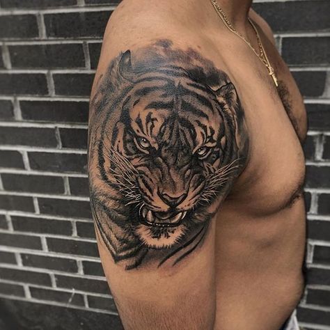 Tiger Tattoo Shoulder, Roaring Tiger Tattoo, Tiger Shoulder Tattoo, Polka Tattoo Designs, Lion Shoulder Tattoo, Name Tattoos On Arm, Trash Polka Tattoos, Jungle Tattoo, Trash Polka Tattoo Designs