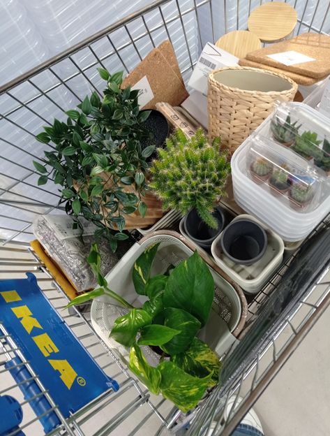 #ikea #aesthetic #shopping #plants #decor #kitchens #ikeatour #beautiful #bedroom #bedroomdecor #plantmom #pretty Aesthetic Ikea Finds, Ikea Finds Aesthetic, Ikea Aesthetic Store, Ikea Shopping Aesthetic, Ikea Aesthetic, January Aesthetic, Simple Boho Style, Ikea Plants, Boho Style Interior