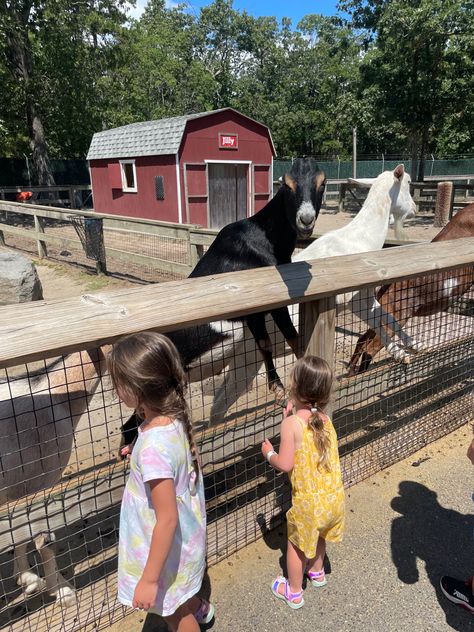 Some things you can do to engage your children a little more at the zoo! It sometimes gets hard when your kids are so young, make sure to make it educational! #zoo #kidsatthezoo #toddlerhacks Mundane Life, Zoo Trip, Toddler Hacks, Kids Zoo, Experiential Learning, The Zoo, Zoo Animals, Three Kids, Future Kids