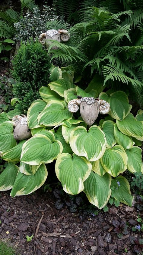 Planters Ceramic, Ceramic Style, Ceramic Garden, Garden Whimsy, Garden Pottery, Garden Art Sculptures Diy, Garden Artwork, Garden Art Crafts, Garden Art Sculptures