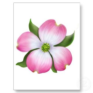 Dogwood Blossom Drawings | PURCHASE DESIGNS HERE Dogwood Tattoo, Pink Dogwood Tree, Dogwood Flower Tattoos, Felting Inspiration, Dogwood Blooms, Tattoo Tree, Dogwood Tree, Tree Blossom, Blossom Cookies