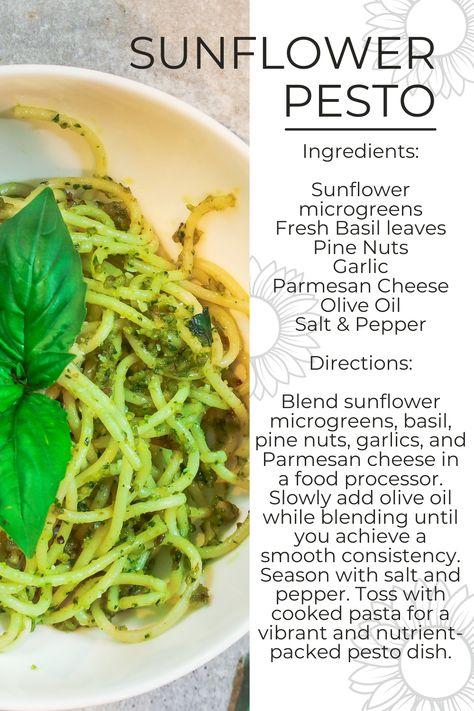 🌻 Sunflower Microgreen Pesto Bliss! 🍝 Elevate pasta night with this vibrant creation. Blend sunflower microgreens, fresh basil, pine nuts, and Parmesan for a burst of flavor and nutrients. Drizzle over cooked pasta, and savor a deliciously healthy twist on pesto. 🌿🌟 #SunflowerSplendor #MicrogreensMagic #FreshFlavo Recipes Using Microgreens, Microgreens Recipe Ideas, Sunflower Microgreens Recipes, Cooking With Microgreens, How To Be Taller, Arugula Microgreens, Salad Microgreens, Microgreens Recipe, Green Farm