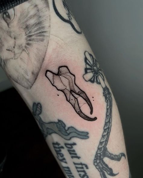 Canine Teeth Tattoo, Tooth Tattoo Design, Dog Teeth Tattoo, Teeth Tattoo, Tooth Tattoo, Filler Tattoo, Canine Tooth, Animal Skeletons, Animal Teeth