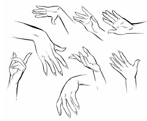 Female manga/anime hands Feminine Hands Reference, Feminine Hand Reference, Feminine Hands, Drawing Anime Hands, Figure Drawing Tutorial, Neck Drawing, Hand Poses, Poses Manga, Male Figure Drawing