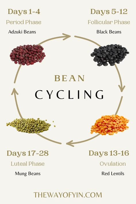 Best Beans For Health, Supplements For Menstrual Cycle, Seeds For Menstrual Cycle, Seed Cycling Benefits, Menstrual Cycle Drinks, Cycle Seeding, Breakfast For Menstrual Phase, Menstrual Phase Breakfast, Seed Cycling Hormones