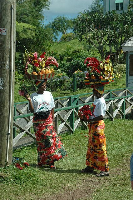 Grenada Island, Grenada Caribbean, Saint Vincent And The Grenadines, Spice Island, Caribbean Culture, Lesser Antilles, Caribbean Island, Twenty Four, Animal Activities