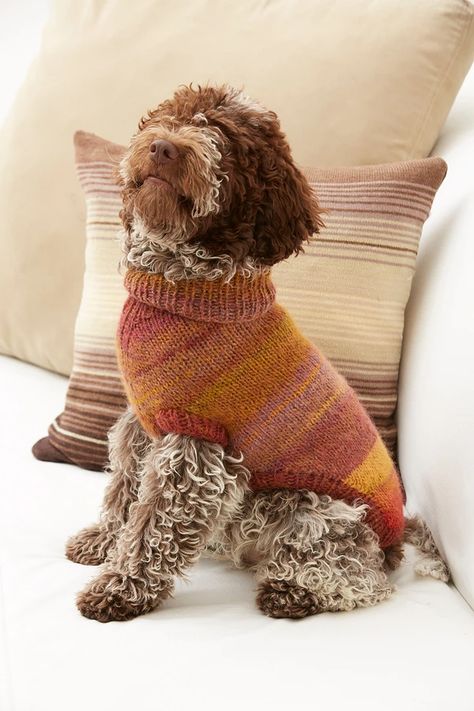 Patterns for Pets – Lion Brand Yarn Knitting Patterns For Dogs, Dog Knitting, Knitted Dog Sweater Pattern, Dog Sweater Crochet, Knitted Dog Sweater, Knitting Patterns Free Dog, Dog Coat Pattern, Dog Sweater Crochet Pattern, Dog Jackets