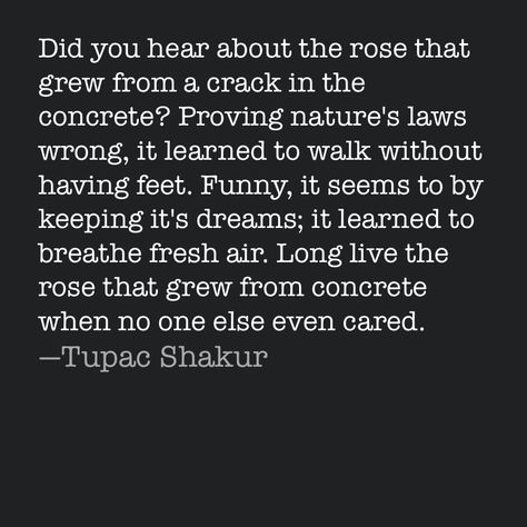 Long Live The Rose That Grew Tupac, Tupac Rose That Grew From Concrete, Rose That Grew From Concrete, The Rose That Grew From Concrete Tattoo, The Rose That Grew From Concrete, Tupac Poems, Rose From Concrete, Concrete Aesthetic, Rose Poems