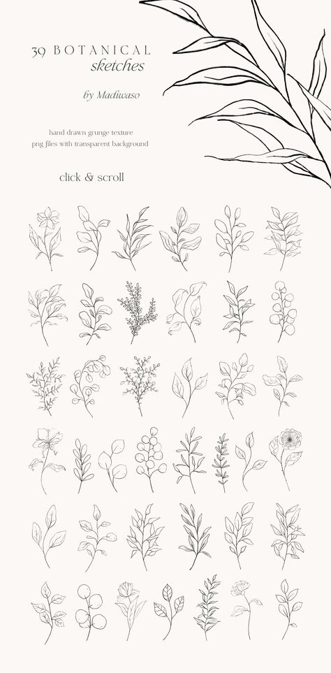 Botanical Sketches, Floral Branding, Black Line Art, Line Art Flowers, Floral Line Art, Botanical Line Drawing, Flower Line Drawings, Botanical Leaves, Line Flower