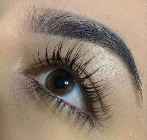 Eyelashes Tutorial, Vision Board Pics, Matte Makeup, Silk Lashes, Eyelash Serum, Natural Eyelashes, Vision Board Inspiration, Longer Eyelashes, Long Lashes